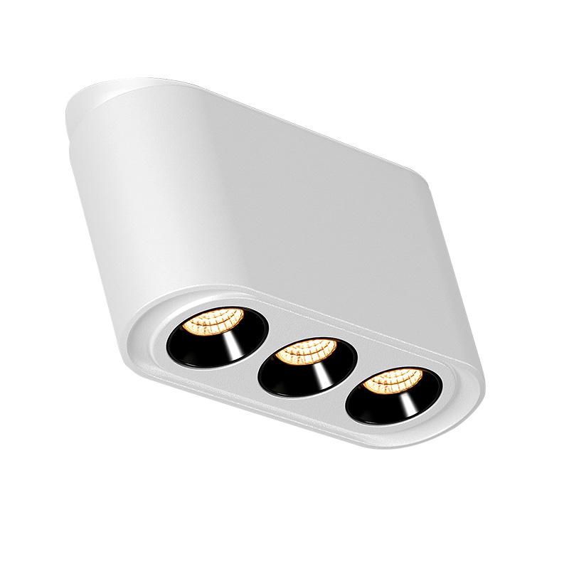 Theodoric Series surface mounted spotlight