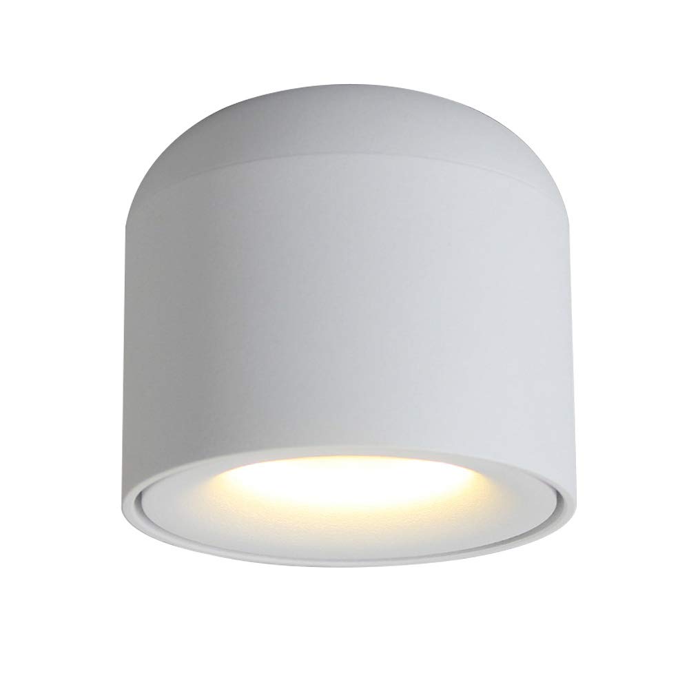 Bragi Downlight