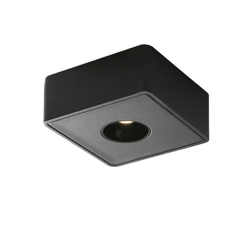DRAUPNIR series Downlight