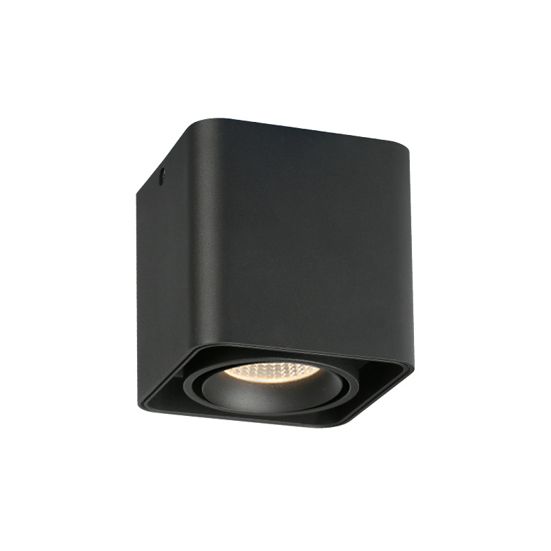 Muspel  surface mounted Downlight