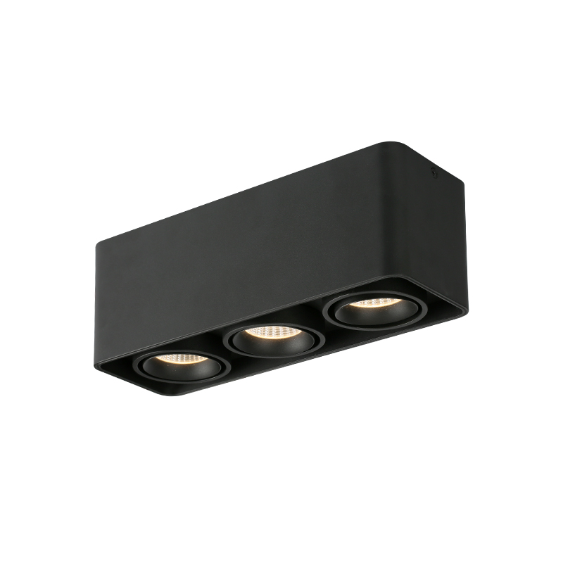 Muspel surface mounted Downlight