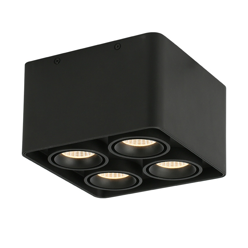 Muspel surface mounted Downlight