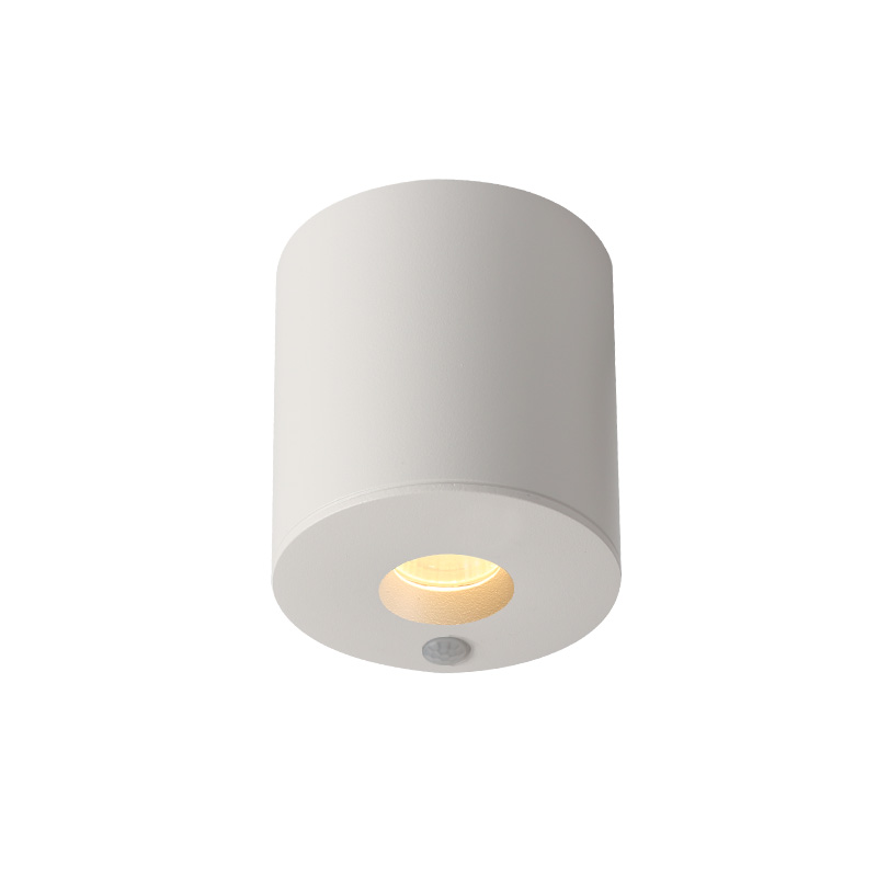 Sylt IR sensor surface mounted downlight