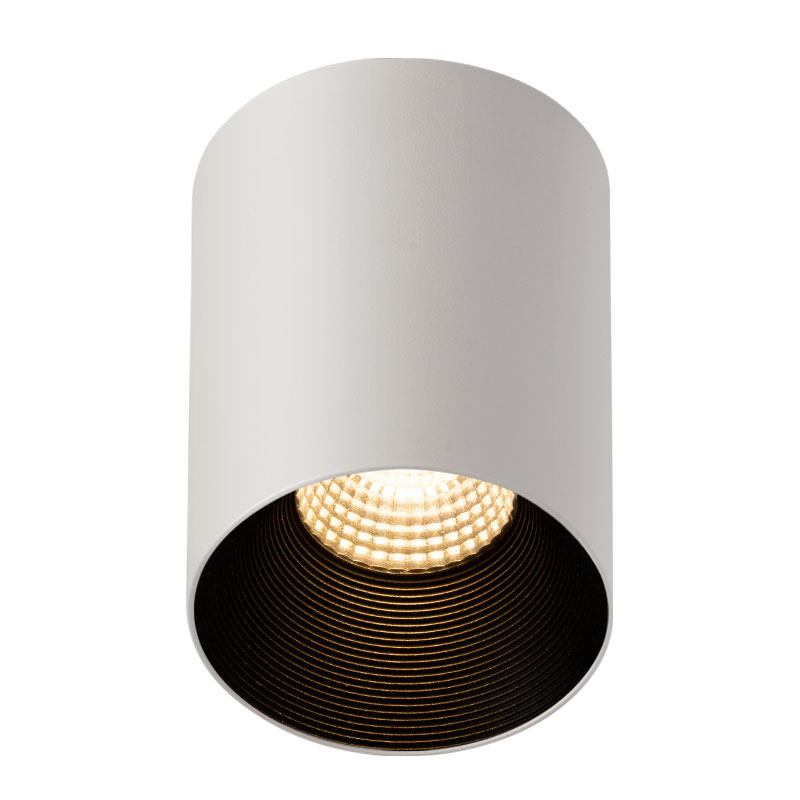 Aegir Series Surface Mounted downlight