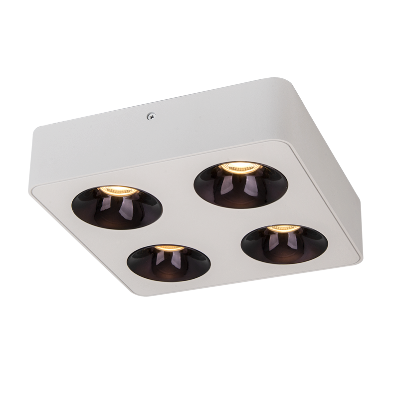 Draupnir surface mounted downlight