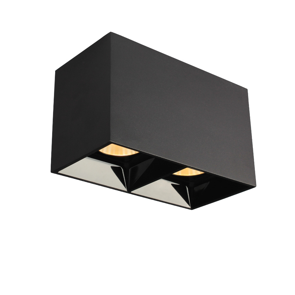 Ask surface mounted Downlight