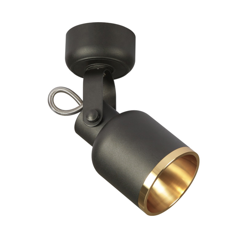 Tlta's  surface mounted  spotlight