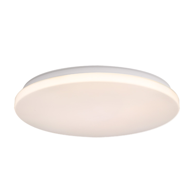 Odin Series Ceiling Light