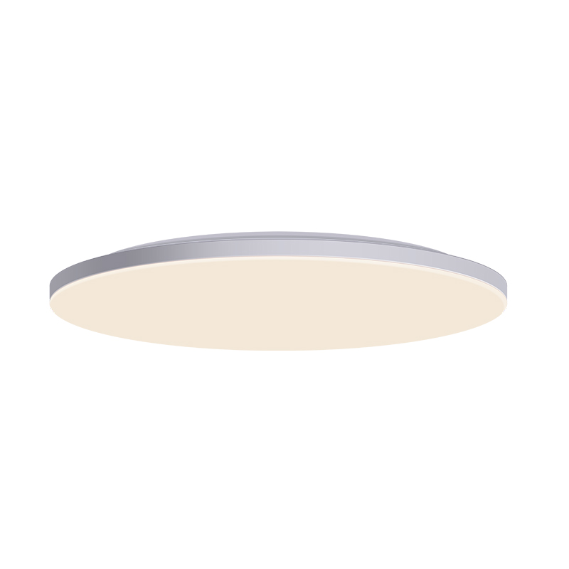 Odin SeriesCeiling Light