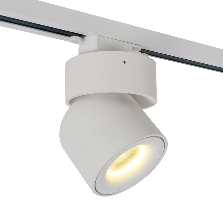Bragi Track light